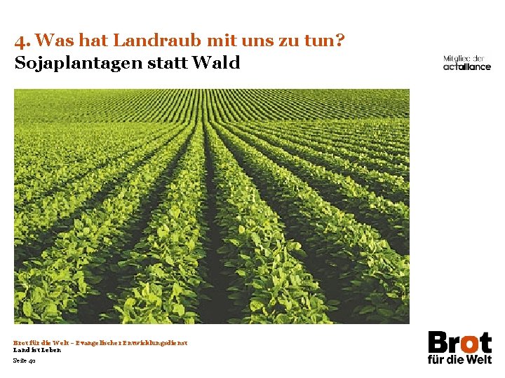 4. Was hat Landraub mit uns zu tun? Sojaplantagen statt Wald Brot für die