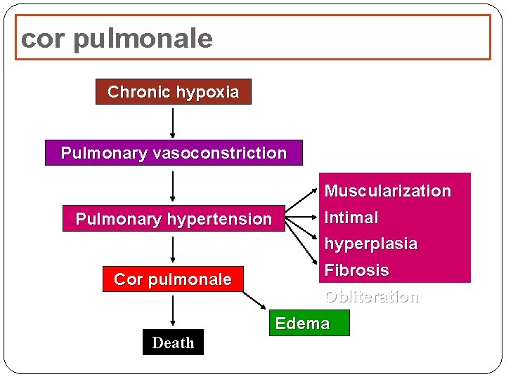 cor pulmonale Chronic hypoxia Pulmonary vasoconstriction Muscularization Pulmonary hypertension Intimal hyperplasia Cor pulmonale Fibrosis cor pulmonale Chronic hypoxia Pulmonary vasoconstriction Muscularization Pulmonary hypertension Intimal hyperplasia Cor pulmonale Fibrosis