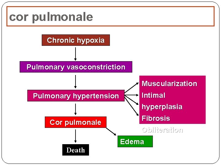 cor pulmonale Chronic hypoxia Pulmonary vasoconstriction Muscularization Pulmonary hypertension Intimal hyperplasia Cor pulmonale Fibrosis