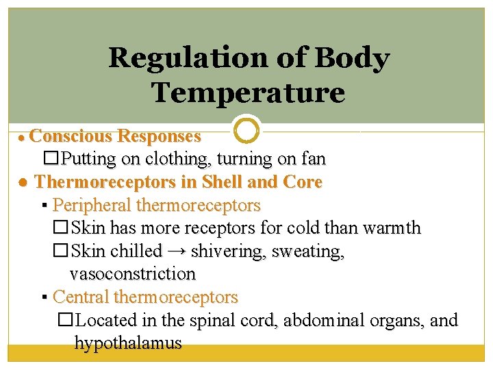 Regulation of Body Temperature ● Conscious Responses �Putting on clothing, turning on fan ●