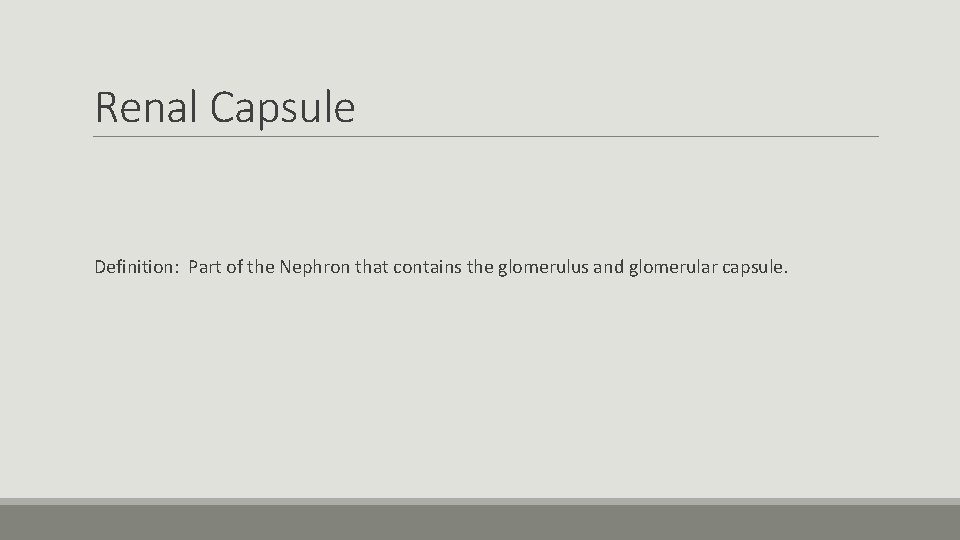 Renal Capsule Definition: Part of the Nephron that contains the glomerulus and glomerular capsule.