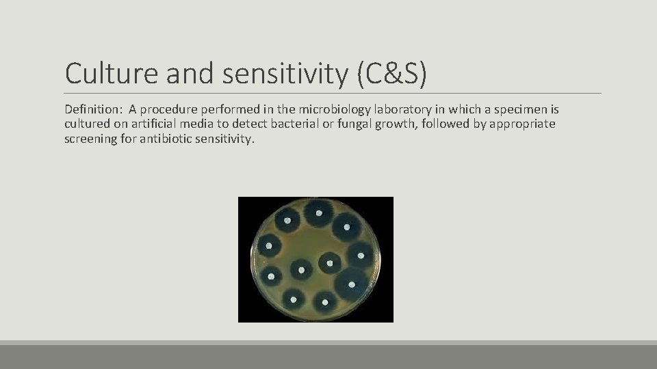 Culture and sensitivity (C&S) Definition: A procedure performed in the microbiology laboratory in which