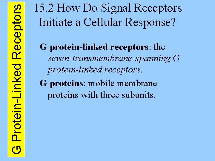 G Protein-Linked Receptors 15. 2 How Do Signal Receptors Initiate a Cellular Response? G