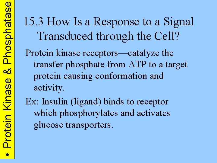  • Protein Kinase & Phosphatase 15. 3 How Is a Response to a