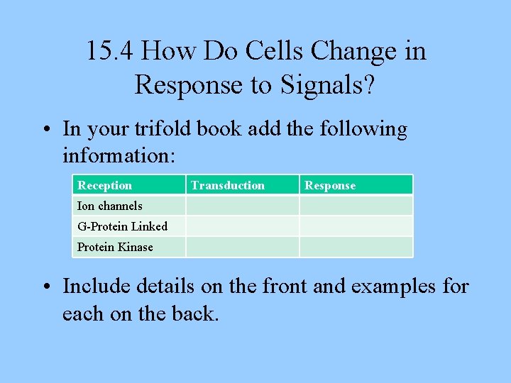 15. 4 How Do Cells Change in Response to Signals? • In your trifold