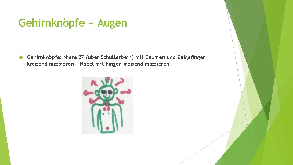 Gehirnknöpfe + Augen Gehirnknöpfe: Niere 27 (über Schulterbein) mit Daumen und Zeigefinger kreisend massieren