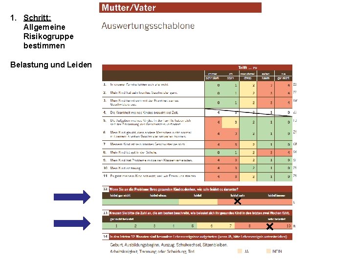 1. Schritt: Allgemeine Risikogruppe bestimmen Belastung und Leiden 