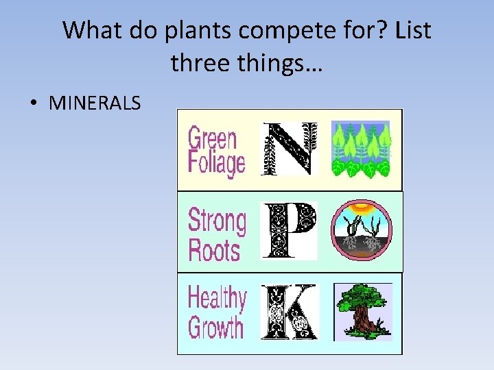 What do plants compete for? List three things… • MINERALS 