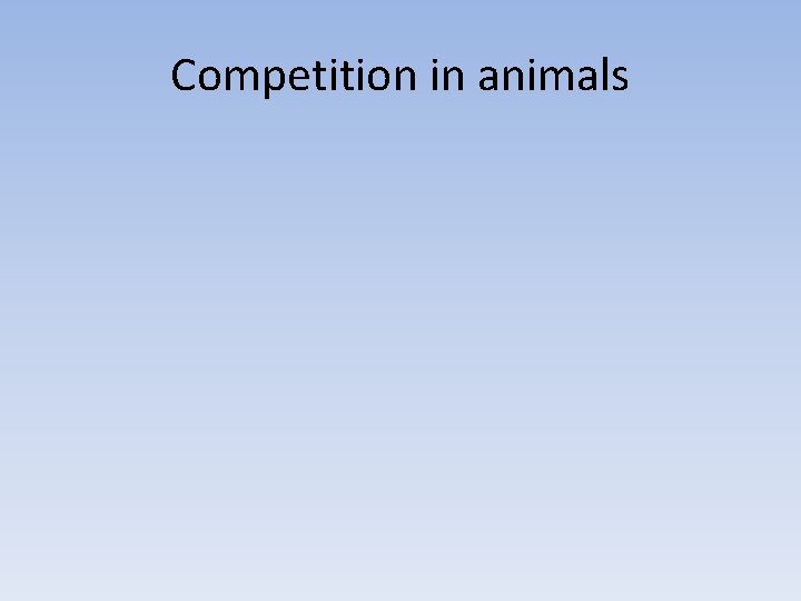 Competition in animals 