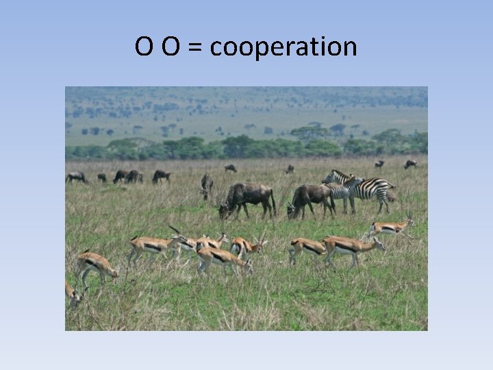 O O = cooperation 