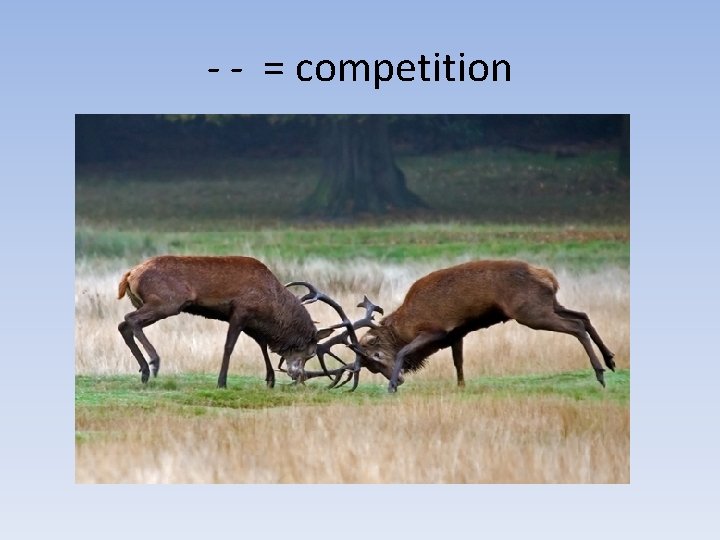 - - = competition 