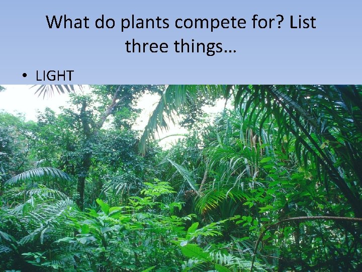 What do plants compete for? List three things… • LIGHT 