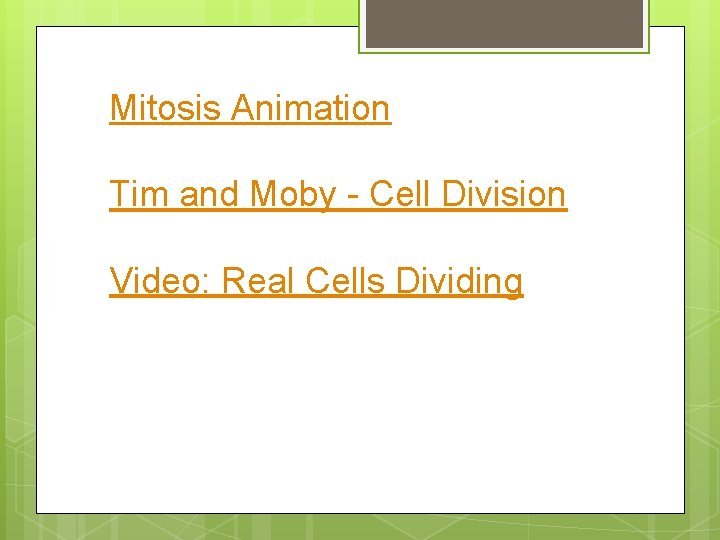 Mitosis Animation Tim and Moby - Cell Division Video: Real Cells Dividing 