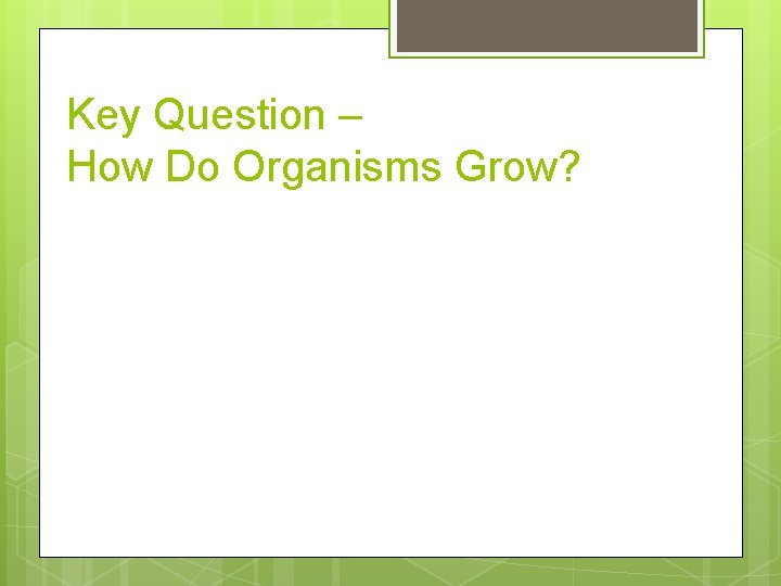 Key Question – How Do Organisms Grow? 