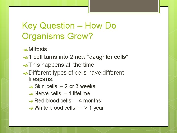 Key Question – How Do Organisms Grow? Mitosis! 1 cell turns into 2 new