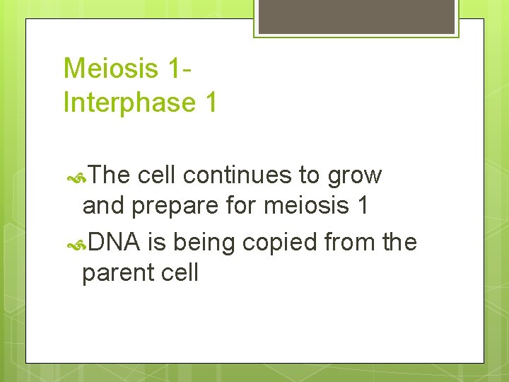 Meiosis 1 Interphase 1 The cell continues to grow and prepare for meiosis 1