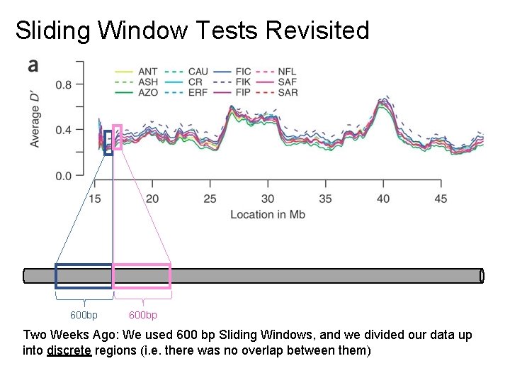 Sliding Window Tests Revisited 600 bp Two Weeks Ago: We used 600 bp Sliding