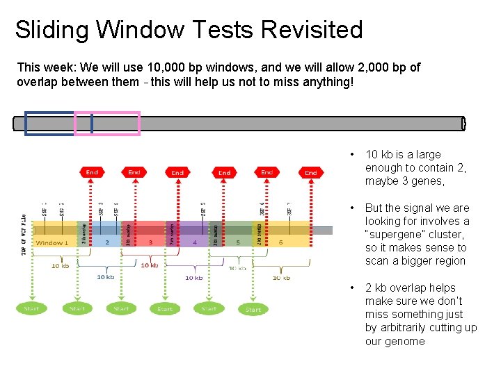Sliding Window Tests Revisited This week: We will use 10, 000 bp windows, and