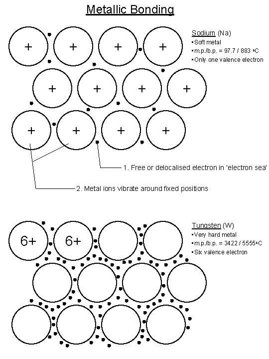 Metallic Bonding Sodium (Na) + + + + • Soft metal • m. p.