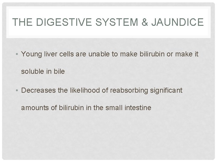 THE DIGESTIVE SYSTEM & JAUNDICE • Young liver cells are unable to make bilirubin