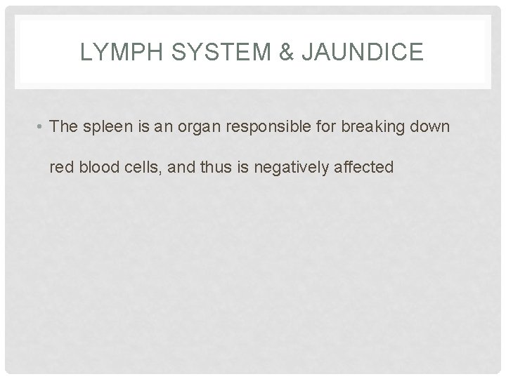 LYMPH SYSTEM & JAUNDICE • The spleen is an organ responsible for breaking down