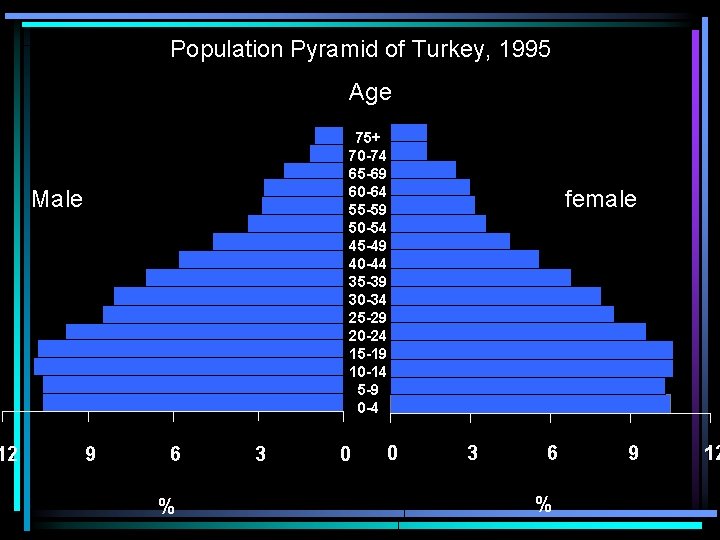12 Population Pyramid of Turkey, 1995 Age 75+ 70 -74 65 -69 60 -64