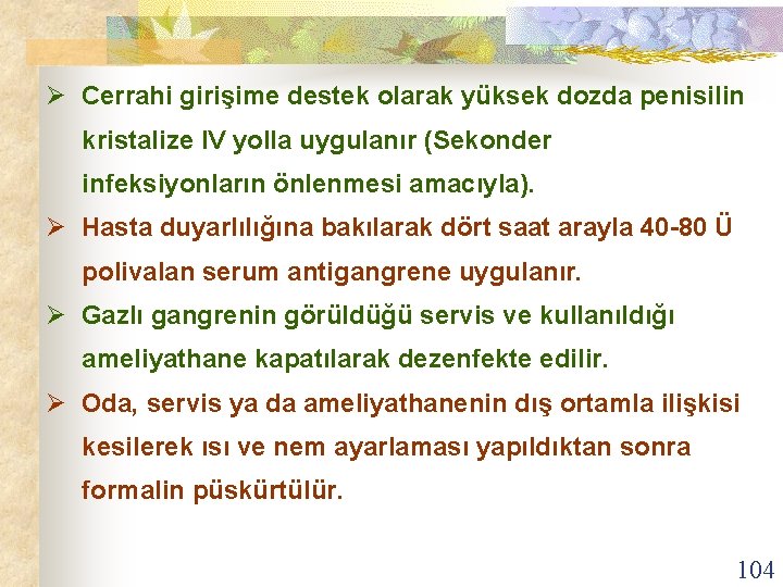 Ø Cerrahi girişime destek olarak yüksek dozda penisilin kristalize IV yolla uygulanır (Sekonder infeksiyonların