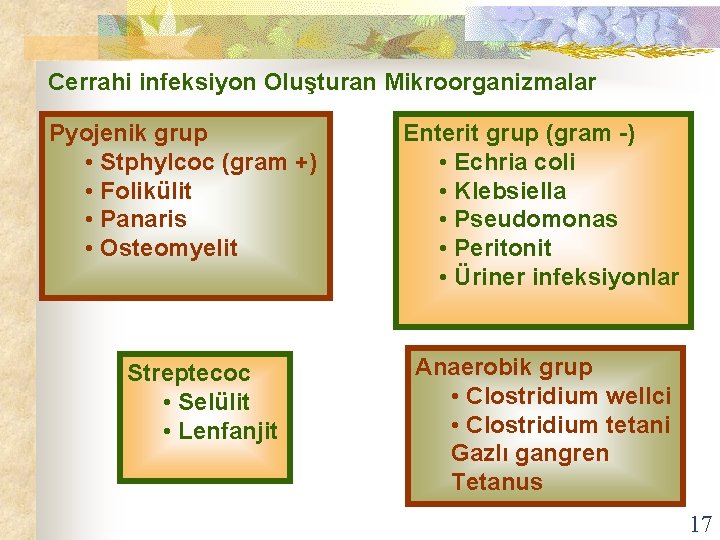 Cerrahi infeksiyon Oluşturan Mikroorganizmalar Pyojenik grup • Stphylcoc (gram +) • Folikülit • Panaris