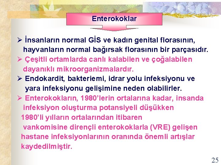 Enterokoklar Ø İnsanların normal GİS ve kadın genital florasının, hayvanların normal bağırsak florasının bir