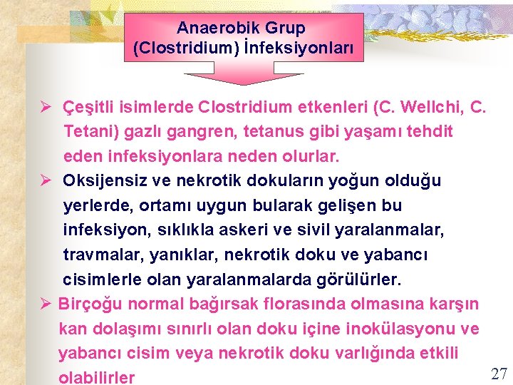 Anaerobik Grup (Clostridium) İnfeksiyonları Ø Çeşitli isimlerde Clostridium etkenleri (C. Wellchi, C. Tetani) gazlı