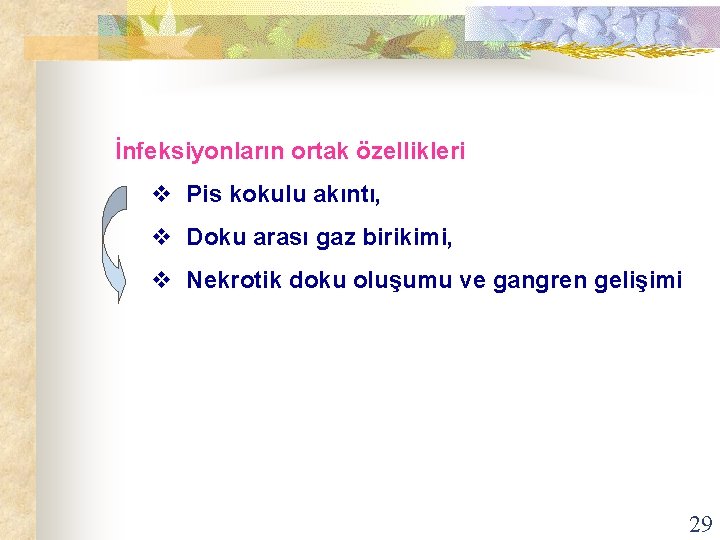 İnfeksiyonların ortak özellikleri v Pis kokulu akıntı, v Doku arası gaz birikimi, v Nekrotik