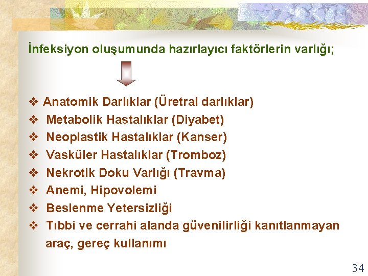 İnfeksiyon oluşumunda hazırlayıcı faktörlerin varlığı; v Anatomik Darlıklar (Üretral darlıklar) v Metabolik Hastalıklar (Diyabet)