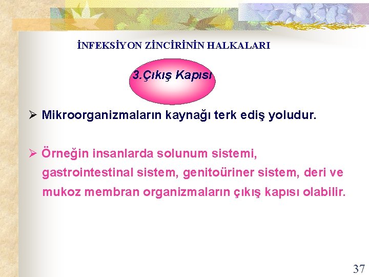 İNFEKSİYON ZİNCİRİNİN HALKALARI 3. Çıkış Kapısı Ø Mikroorganizmaların kaynağı terk ediş yoludur. Ø Örneğin