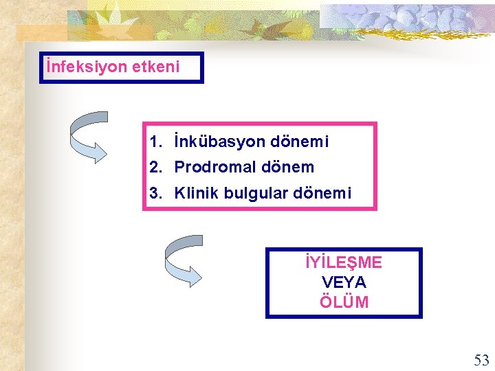 İnfeksiyon etkeni 1. İnkübasyon dönemi 2. Prodromal dönem 3. Klinik bulgular dönemi İYİLEŞME VEYA