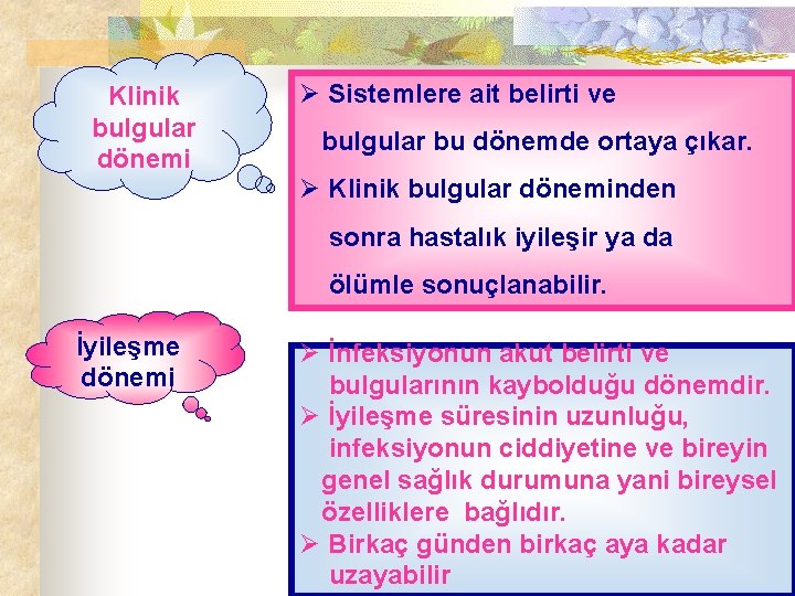 Klinik bulgular dönemi Ø Sistemlere ait belirti ve bulgular bu dönemde ortaya çıkar. Ø