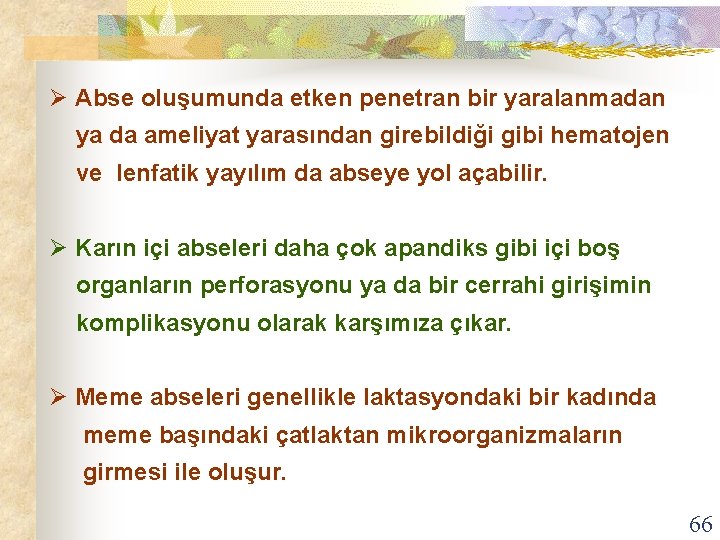 Ø Abse oluşumunda etken penetran bir yaralanmadan ya da ameliyat yarasından girebildiği gibi hematojen