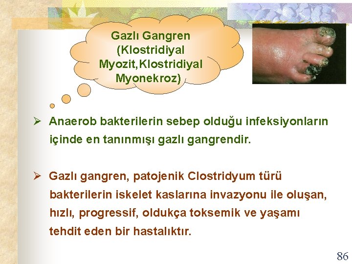 Gazlı Gangren (Klostridiyal Myozit, Klostridiyal Myonekroz) Ø Anaerob bakterilerin sebep olduğu infeksiyonların içinde en