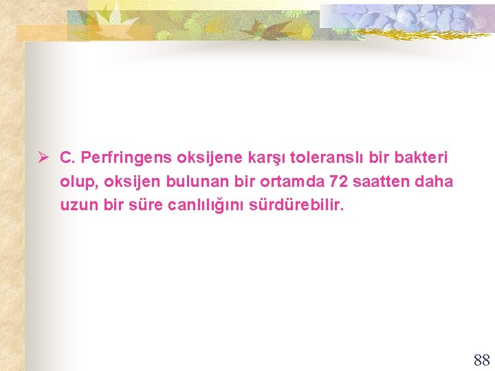 Ø C. Perfringens oksijene karşı toleranslı bir bakteri olup, oksijen bulunan bir ortamda 72