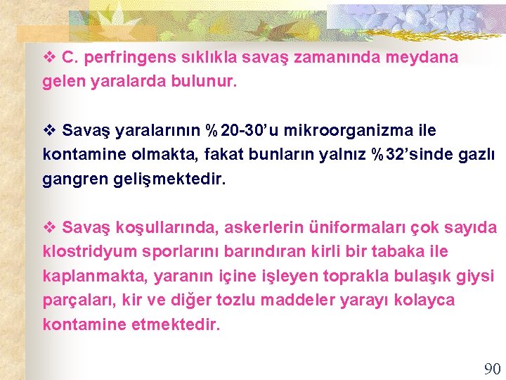 v C. perfringens sıklıkla savaş zamanında meydana gelen yaralarda bulunur. v Savaş yaralarının %20