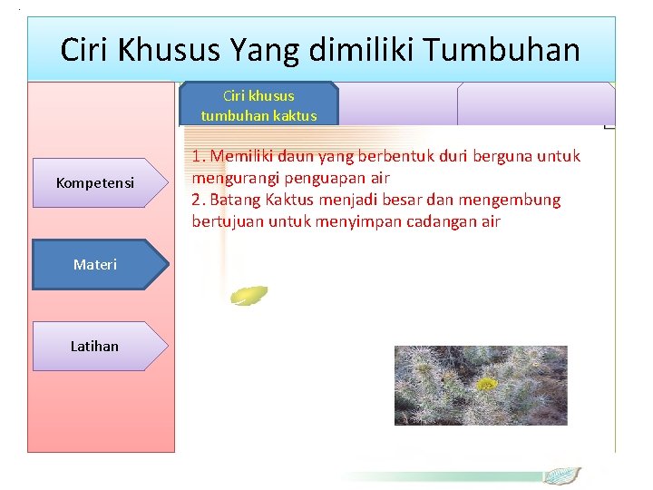 . Ciri Khusus Yang dimiliki Tumbuhan Ciri khusus • tumbuhan kaktus Kompetensi Materi Latihan