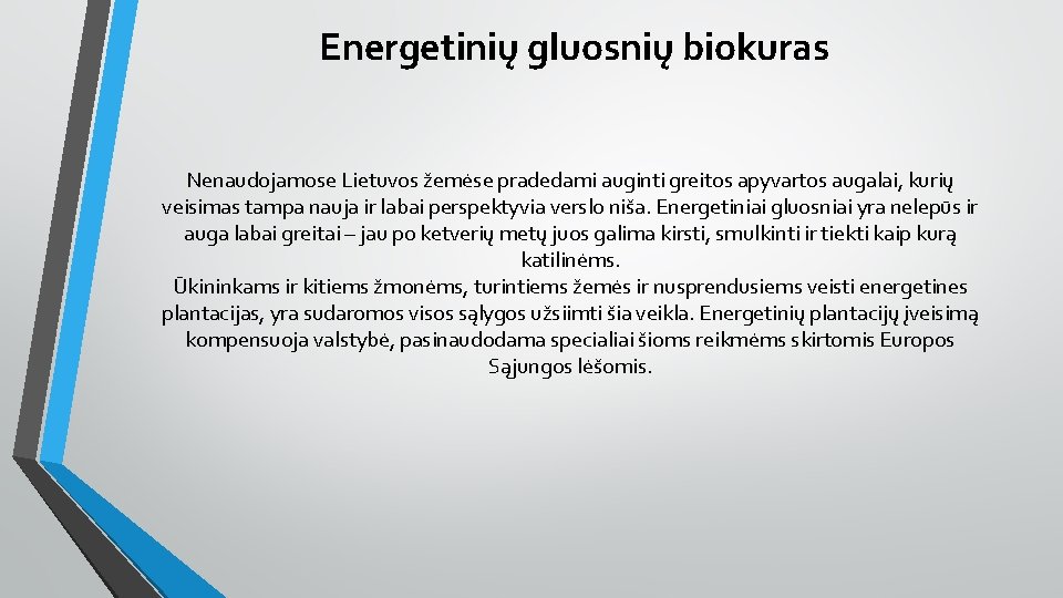 Energetinių gluosnių biokuras Nenaudojamose Lietuvos žemėse pradedami auginti greitos apyvartos augalai, kurių veisimas tampa