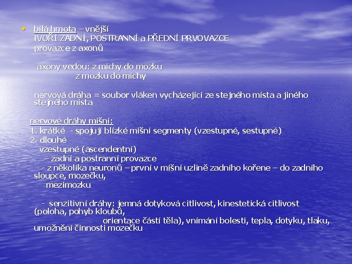  • bílá hmota – vnější TVOŘÍ ZADNÍ, POSTRANNÍ a PŘEDNÍ PRVOVAZCE provazce z