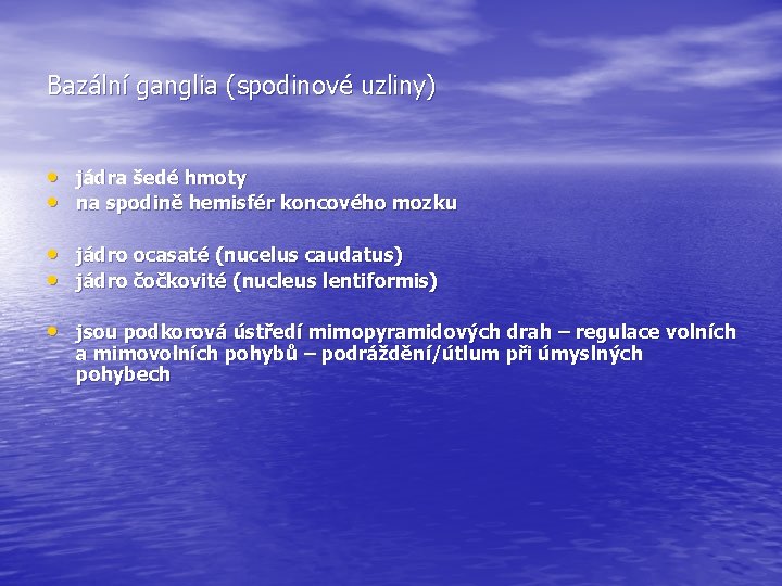 Bazální ganglia (spodinové uzliny) • jádra šedé hmoty • na spodině hemisfér koncového mozku