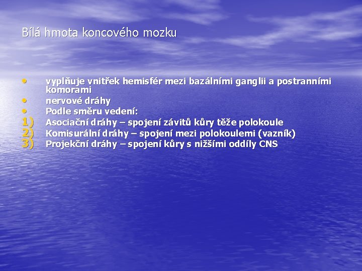 Bílá hmota koncového mozku • • • 1) 2) 3) vyplňuje vnitřek hemisfér mezi