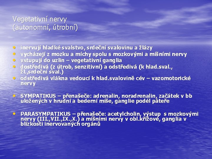 Vegetativní nervy (autonomní, útrobní) • • • inervují hladké svalstvo, srdeční svalovinu a žlázy