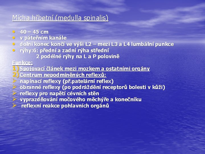 Mícha hřbetní (medulla spinalis) • • 40 – 45 cm v páteřním kanále dolní