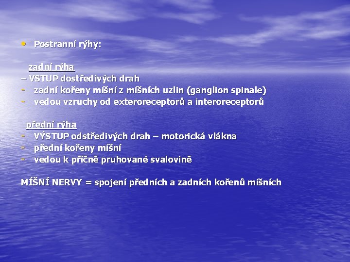  • Postranní rýhy: zadní rýha – VSTUP dostředivých drah - zadní kořeny míšní