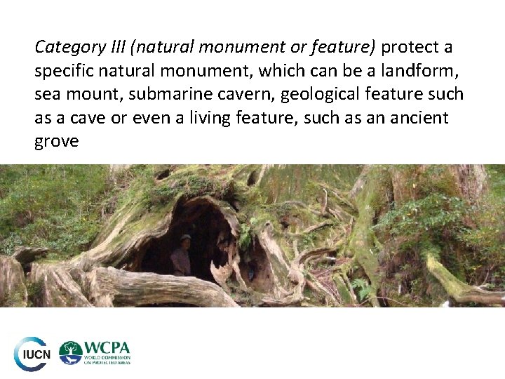 Category III (natural monument or feature) protect a specific natural monument, which can be