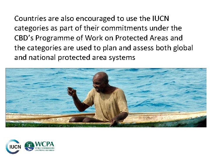 Countries are also encouraged to use the IUCN categories as part of their commitments