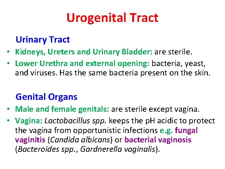 Urogenital Tract Urinary Tract • Kidneys, Ureters and Urinary Bladder: are sterile. • Lower